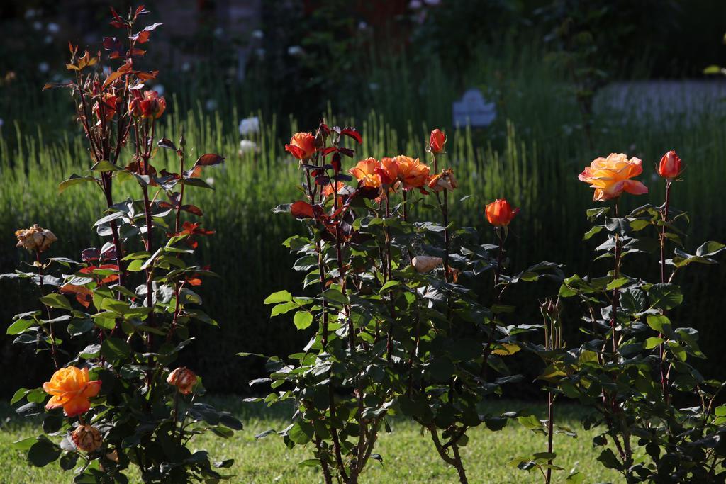 Farm stay E San Crispino *