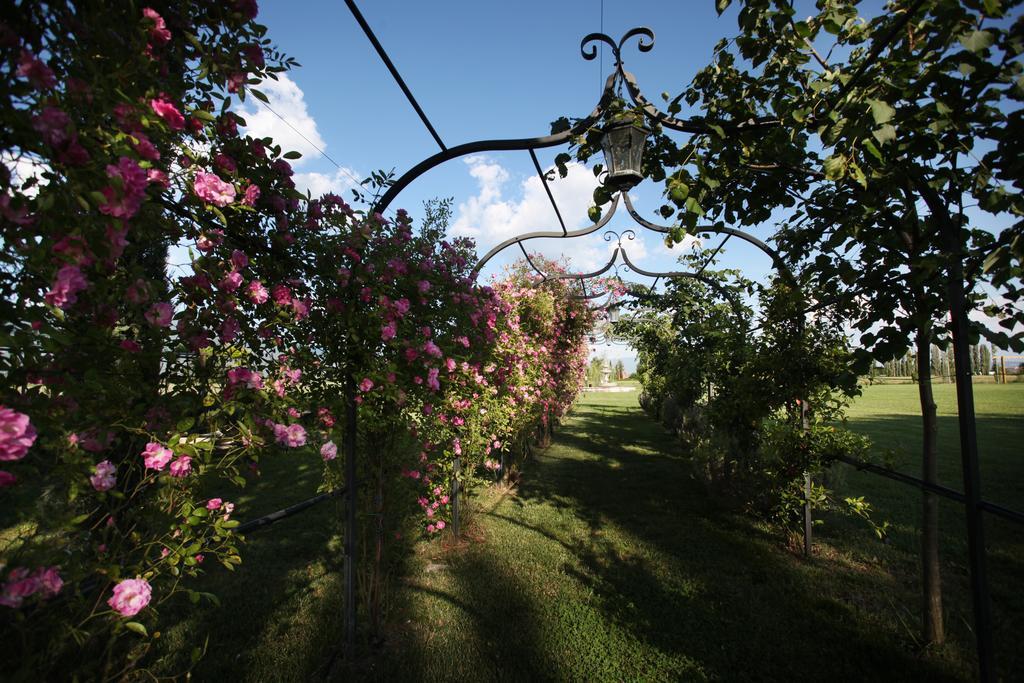 Farm stay E San Crispino *