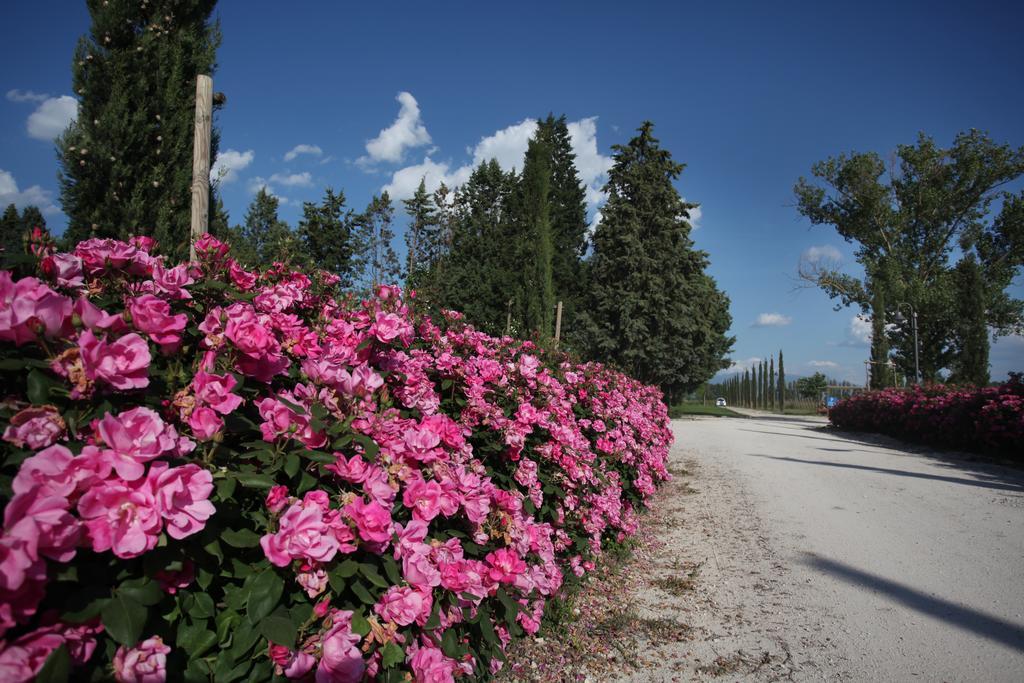 E San Crispino Assisi